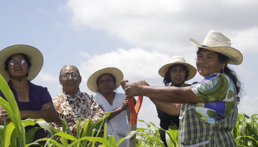 tending_crops_in_mexico_flickr_oxfam_1024x683