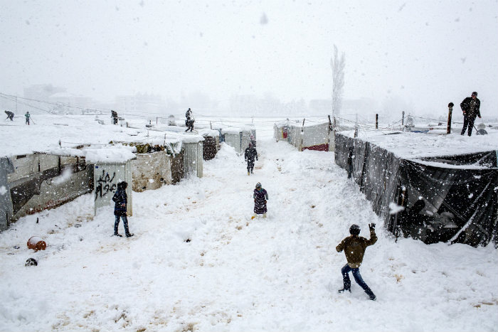 Winter refugees.jpg