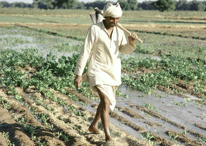 Worker in field India