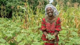 Microloans make farming profitable for Kenyan smallholders
