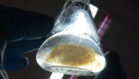 Waste to wealth with new generation nanocatalyst