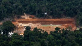 Brazil drives increase in worldwide forest loss