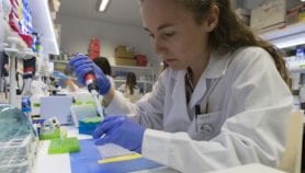 Three tropical diseases targeted in push for new drugs