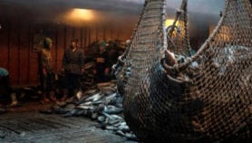 Coastal fishing communities ‘facing disaster’