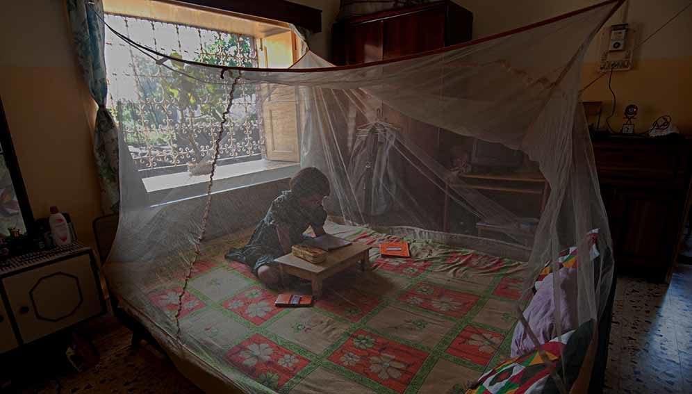 Mosquito fungus 2018blocks  malaria2019 - MAIN