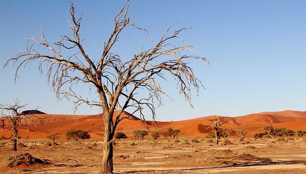 Namibia Arid landscape