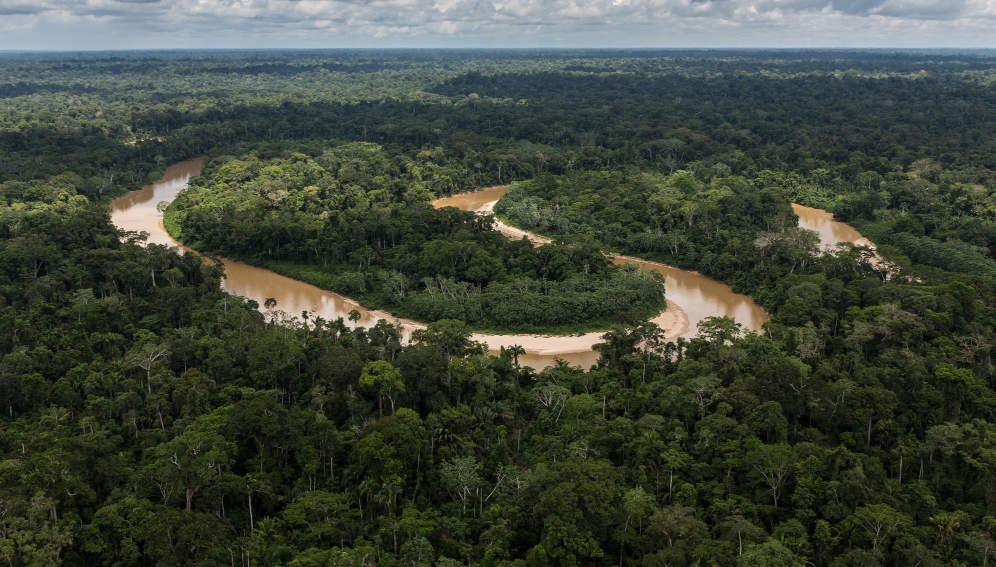 The Amazon rainforest in Peru. Photo by Diego Perez / USDA