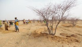Govts should stop converting land use – UN scientist