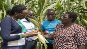 Q&A: Women must ‘do the hard stuff’ to stand out