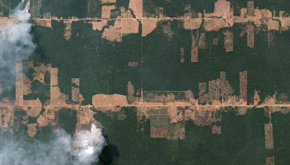 Fishbone_Deforestation,_Rondônia,_Brazil_by_Planet_Labs