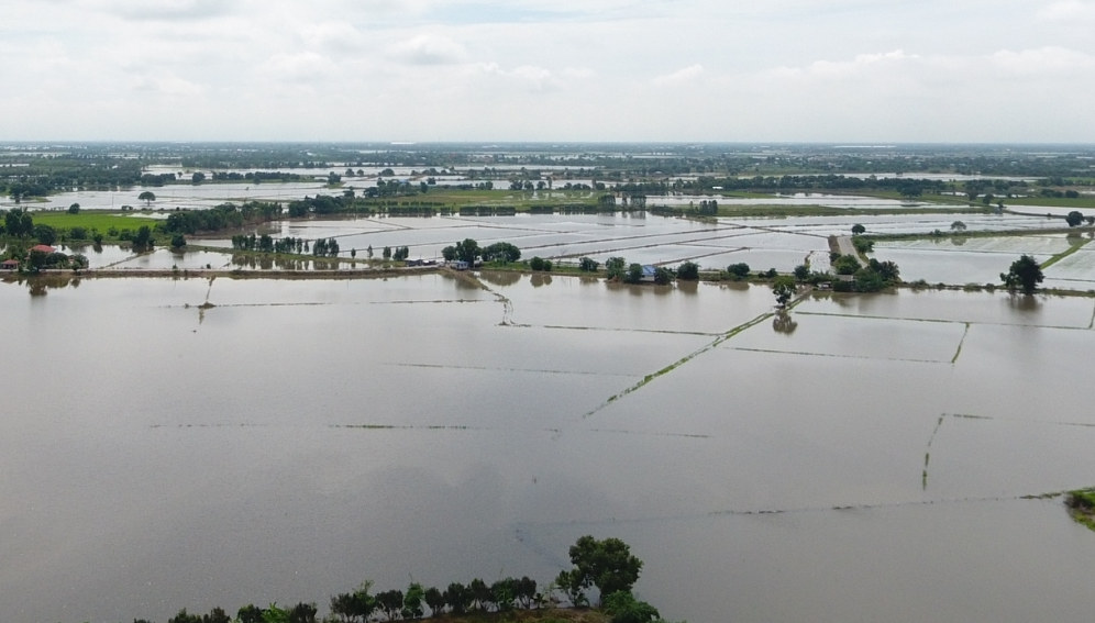 Flooded fields, near Ayutthaya, Thailand.