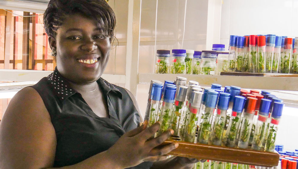 A researcher at the semi-autonomous Plant Genetic Resources Research Institute (PGRRI) in Ghana’s Council for Scientific and Industrial Research. Photo: Nora Castaneda-Alvarez/Crop Trust