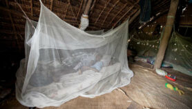 Renewed malaria push needed after COVID-19 setback