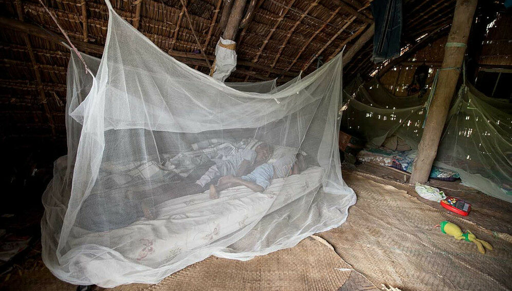 Insecticide treated net
