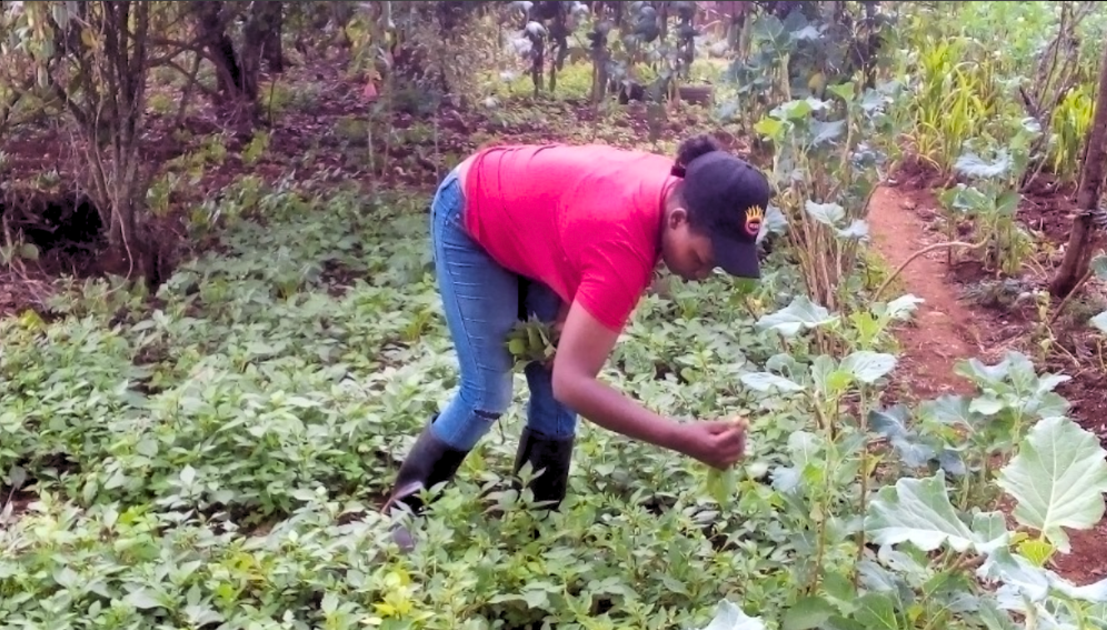 Mary Ikigu, a vegetable farmer in Kenya