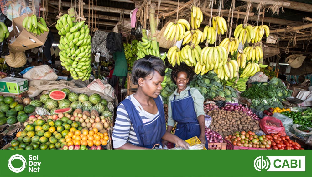 Food safety in Kenya: safeguarding consumer’s interest and the role of different actors in the agri-food systemPromoting food safety in Kenya: Mitigating pesticide risks in fresh fruits and vegetables. WEBINAR