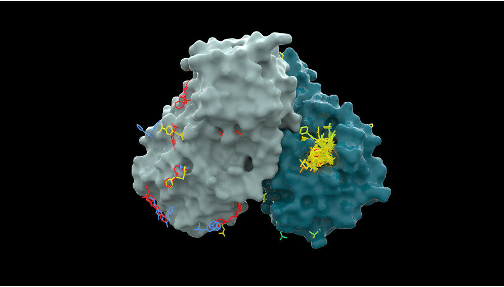 1.	COVID19-Moonshot - (Molecular) view of a key component of the SARS-CoV-2 virus called MPro (Green Grey) with drug site targets identified (yellow) - Copyright of Diamond Light Source, 2021