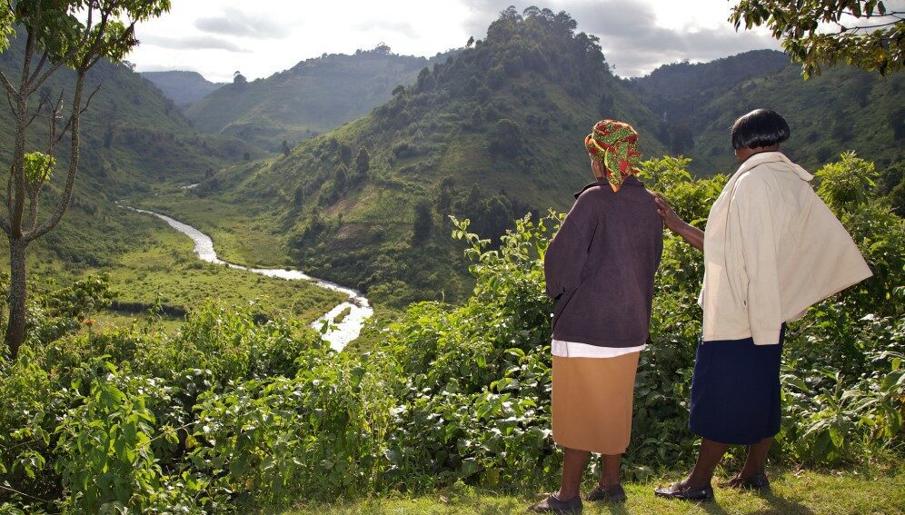 Women looking out over reforested land