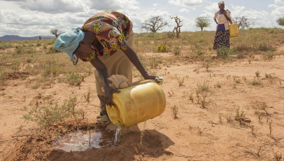 Women watering mukau sappling