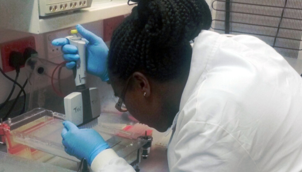 A lady scientist performing gel electrophoresis in a laboratory. Africa Science Focus is exploring how funding agencies are supporting women in research. Photo by Martha Mawia (Wikimedia)