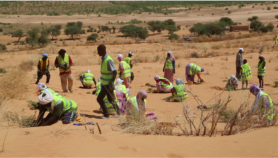Land restoration urgent as degradation hits poorest – UN