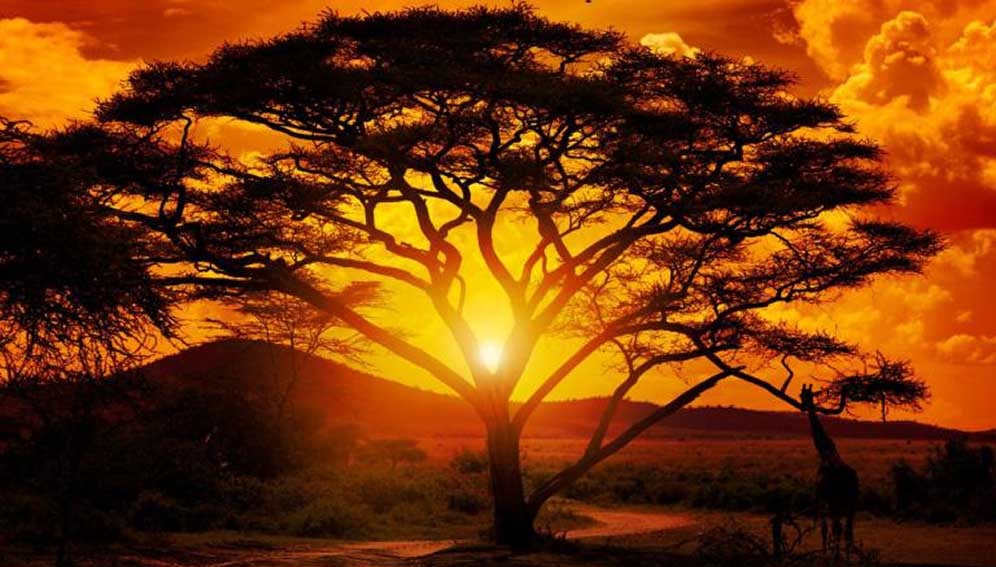 El Niño early action urged as extreme weather looms