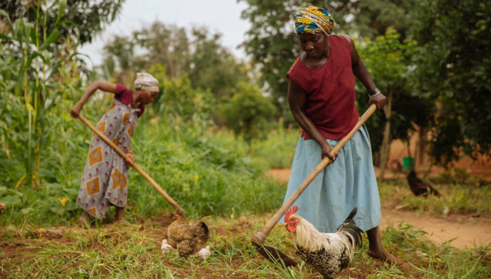 Smallholder farmers in Tanzania - Photo Credit: Mitchell Maher / International Food Policy Institute