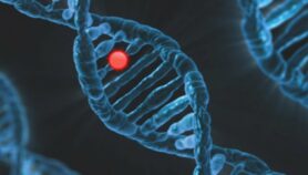 Affordable analysis of genomes ‘key to tackling diseases’