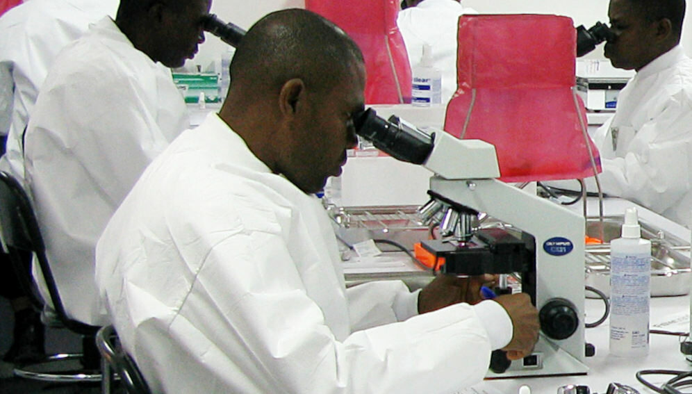 Malaria research