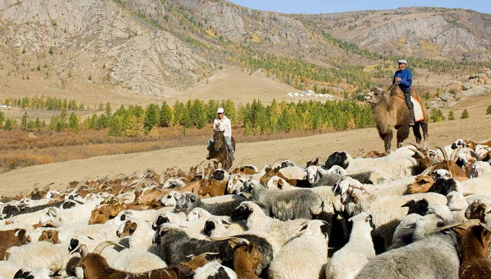 El Niño exposes need to back pastoralist climate action