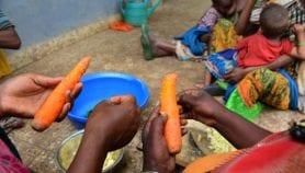 Why tackling malnutrition is key to women’s empowerment