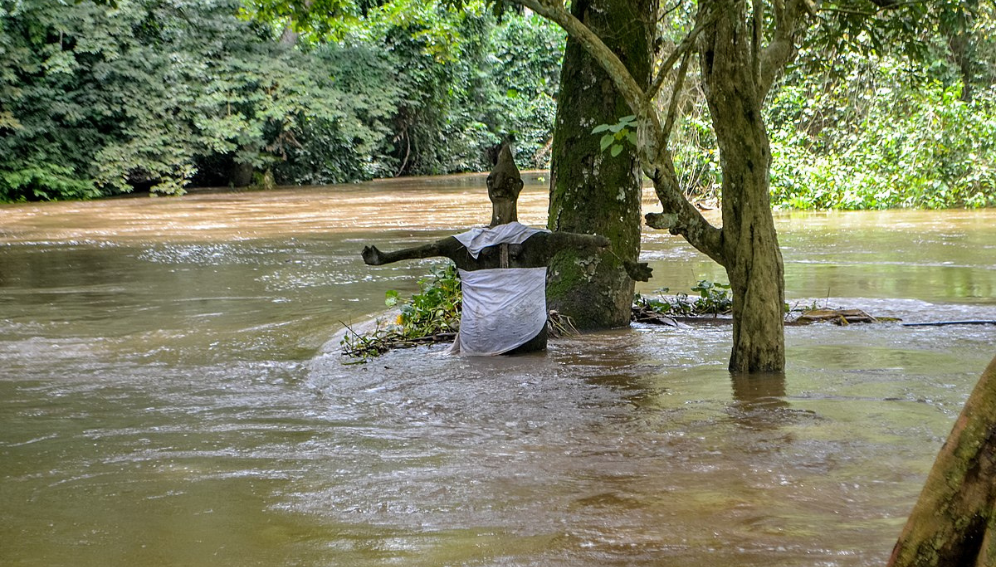 Osun river at the Sacred Grove Of Oshun