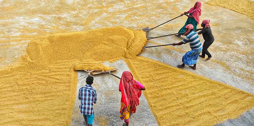  Women and Man Working on Rural Field · Free Stock Photo
