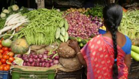 Women, street food could answer world’s hunger problems