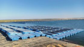 أول محطة عائمة للطاقة الشمسية بالمغرب