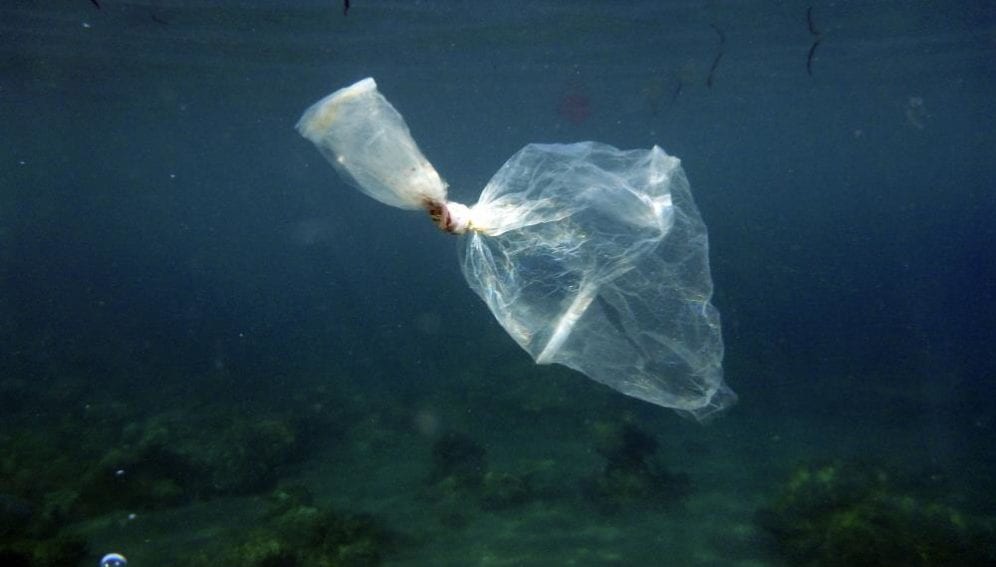 plastic wastes in Mediterranean