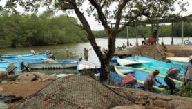 نظرة إلى ’أرزقية‘ البحر