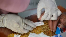 معالجة مختلفة أو انتشار أوسع للإيدز بالإقليم