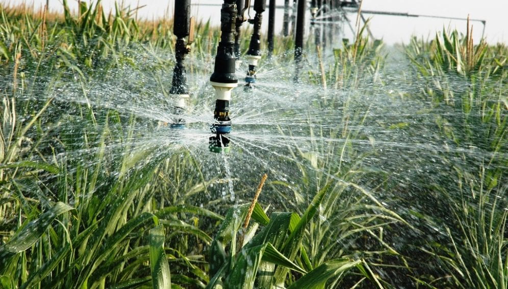 Irrigation brackish water