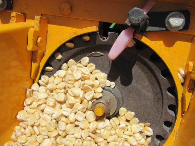 

		 الآلة تتيح استخدام المصاطب نفسها لزراعة الذرة بعد حصاد القمح


