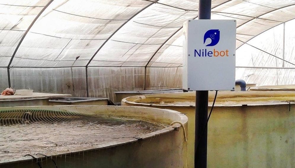 Nile bot