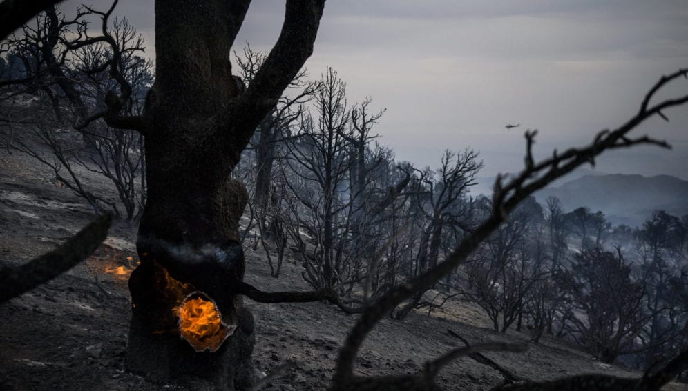 Kurdstan forests fire