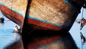 اللحم الطري إلى زوال من مياه الخليج العربي