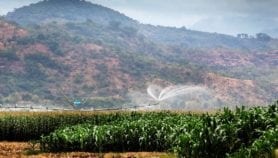 ’وابور‘ ترصد إنتاجية المياه في الزراعة