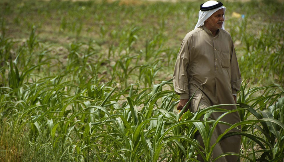 Agriculture in Iraq