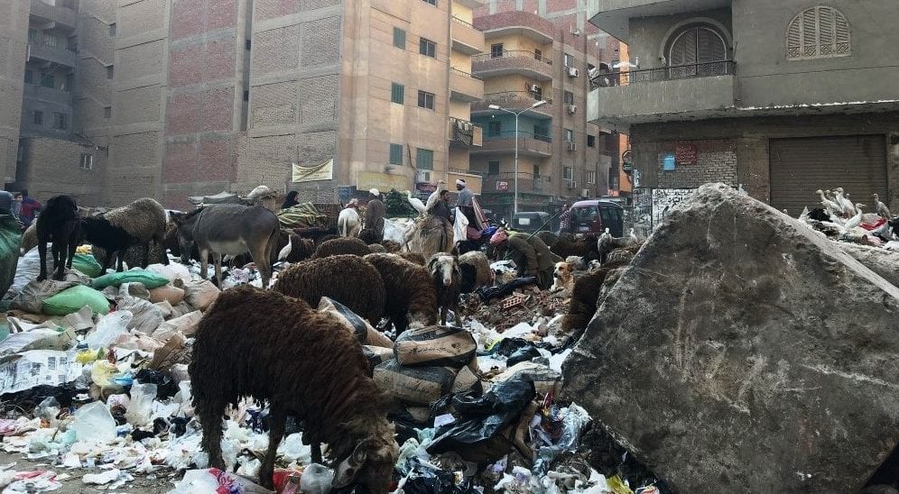 Egypt Garbage
