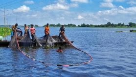 البلدان الساحلية الفقيرة محرومة من الانتفاع بأسماكها