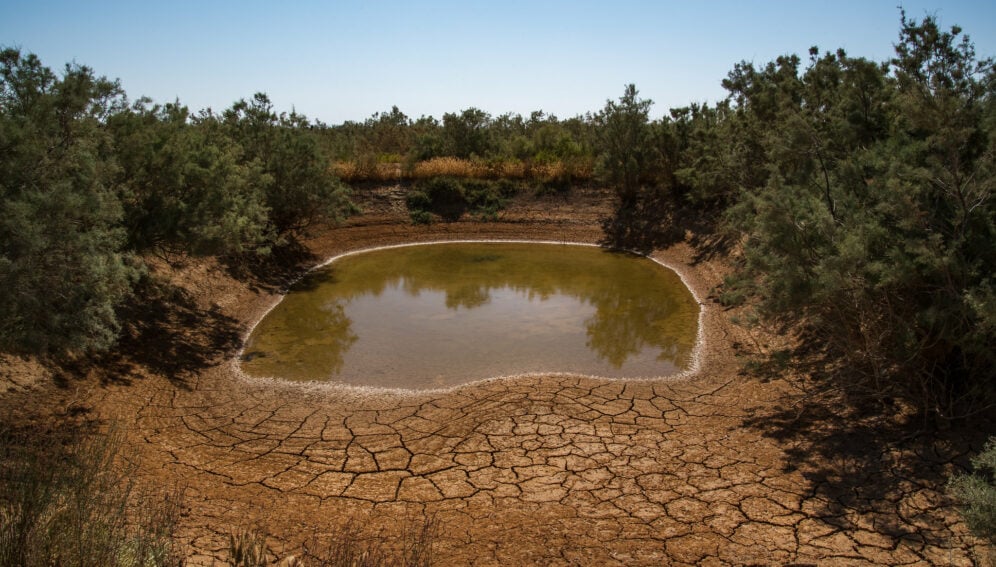 50169334252_26841066a0_k