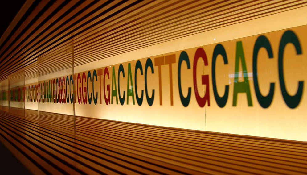 genome_996x567