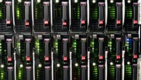 من الخلود الجيني إلى الإخلاد الرقمي